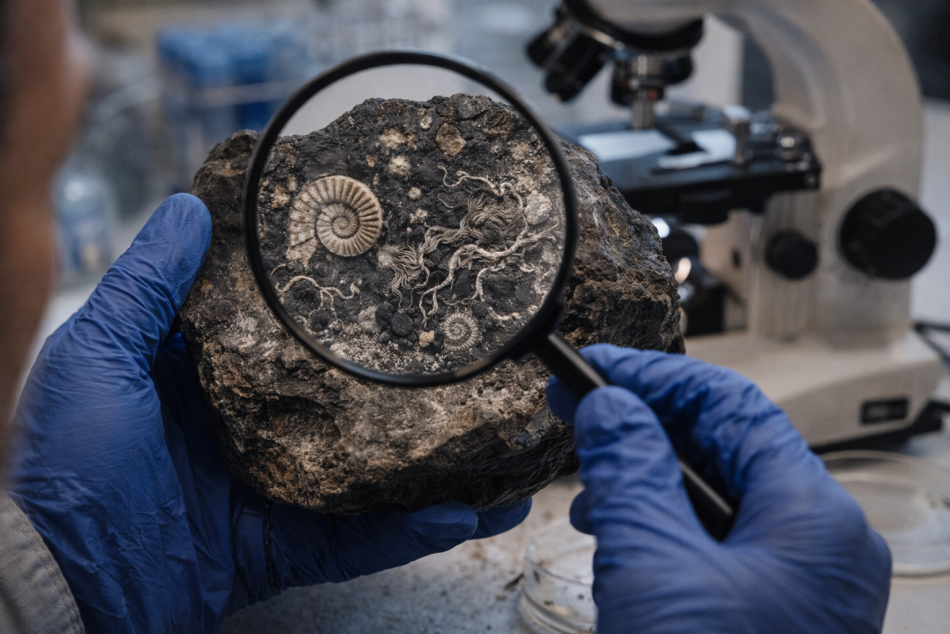 В метеорите Каинсаз нашли древнейшие следы возможной внеземной жизни